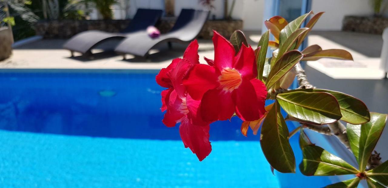 Villa Paradise, Pool And Sea View Chaweng Plajı Dış mekan fotoğraf
